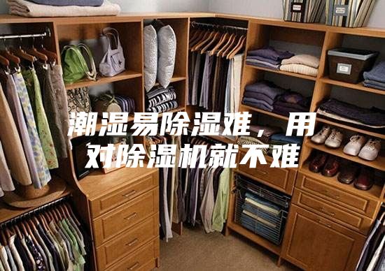 潮濕易除濕難,用對除濕機就不難