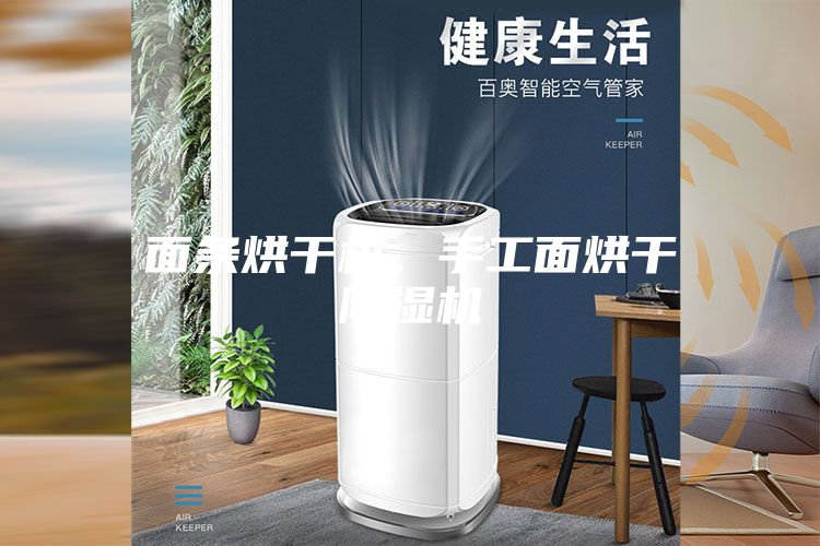 面條烘干機，手工面烘干除濕機