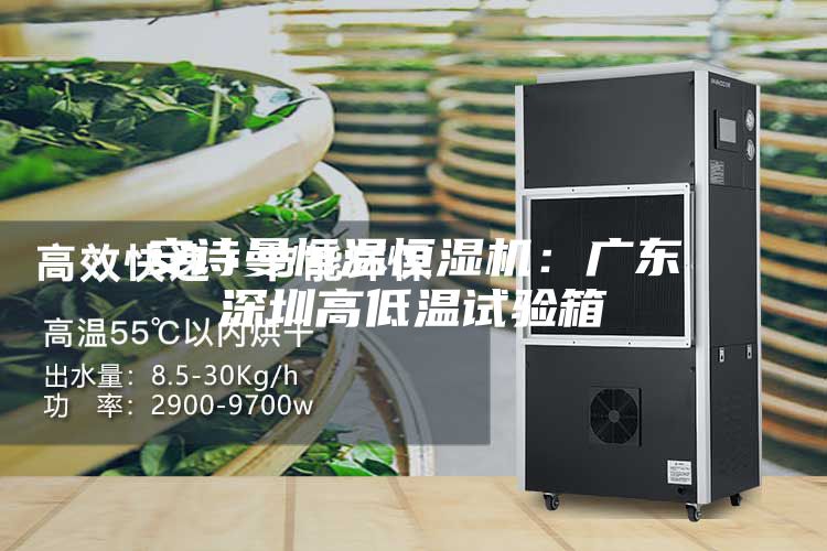 安詩(shī)曼恒溫恒濕機(jī)：廣東深圳高低溫試驗(yàn)箱