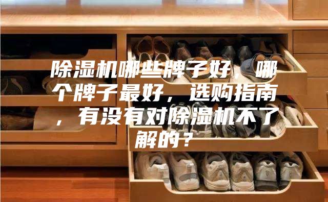 除濕機(jī)哪些牌子好,哪個牌子最好,選購指南,有沒有對除濕機(jī)不了解的?