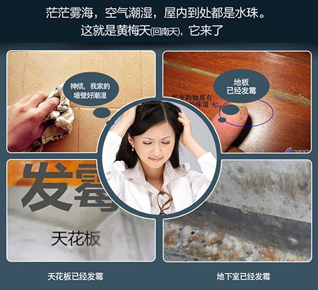 酒店、餐廳這么潮，誰還放心？除濕機(jī)用起來啊