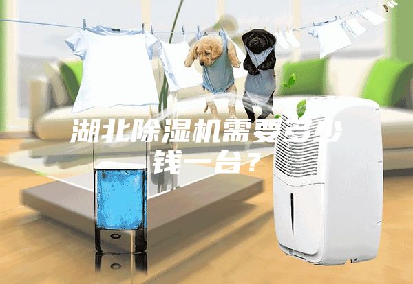 湖北除濕機需要多少錢一臺?