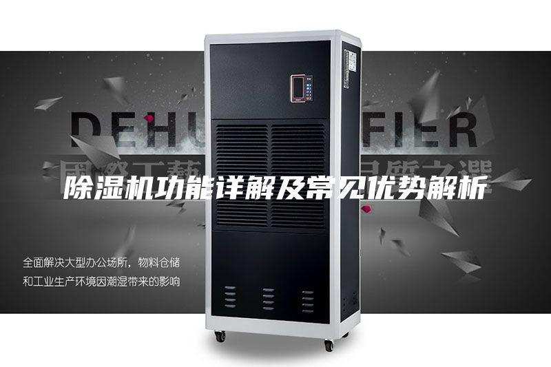 除濕機(jī)功能詳解及常見優(yōu)勢(shì)解析