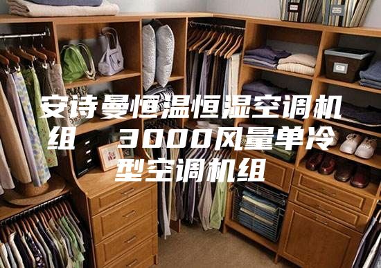 安詩曼恒溫恒濕空調(diào)機組  3000風(fēng)量單冷型空調(diào)機組