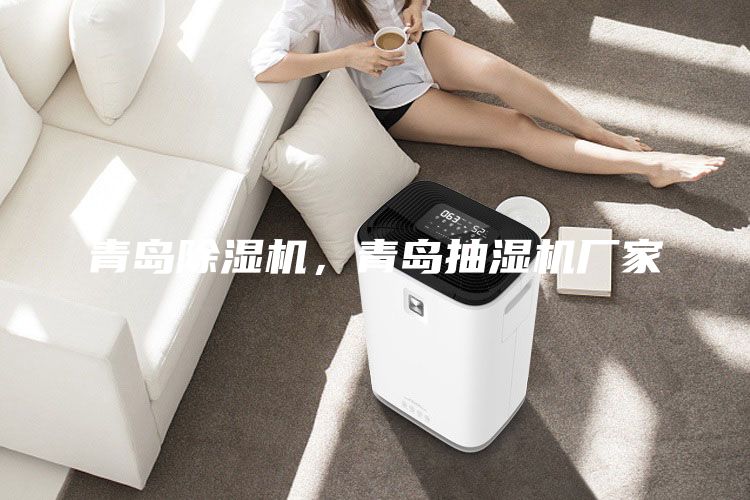 青島除濕機(jī)，青島抽濕機(jī)廠家