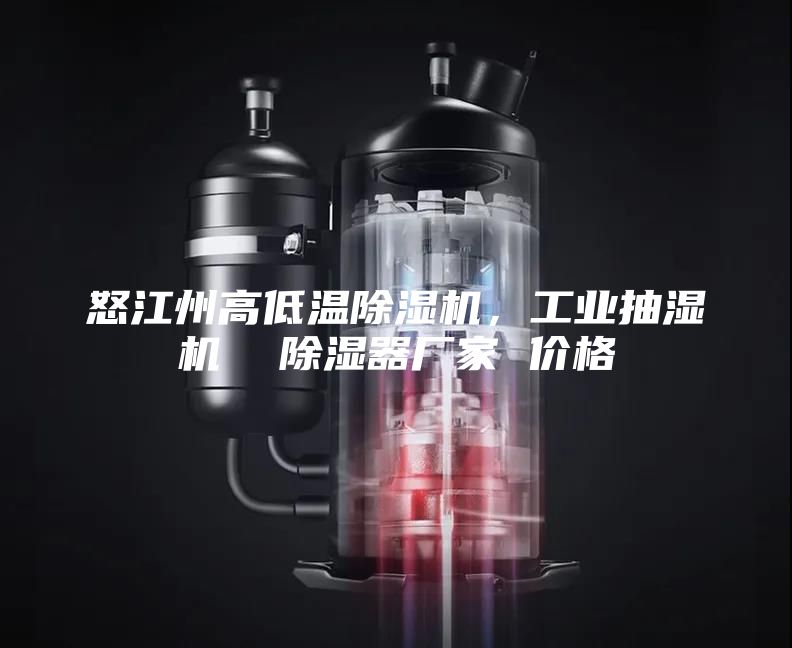 怒江州高低溫除濕機，工業(yè)抽濕機  除濕器廠家 價格