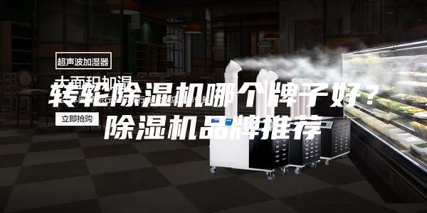轉輪除濕機哪個牌子好？除濕機品牌推薦