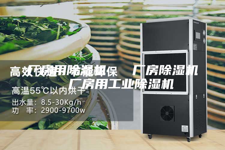 廠房用除濕機 廠房除濕機 廠房用工業(yè)除濕機