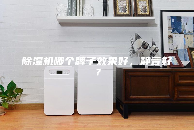 除濕機哪個牌子效果好，靜音好？