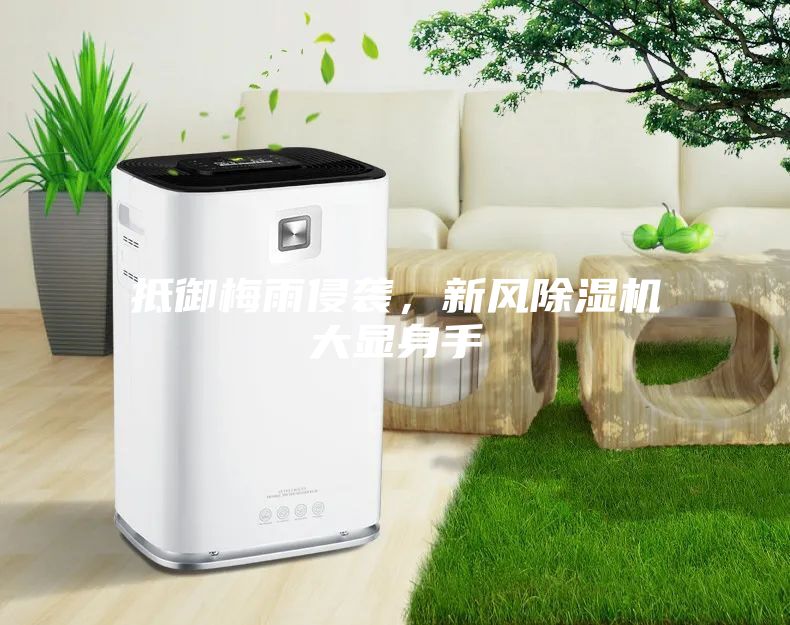 抵御梅雨侵襲，新風除濕機大顯身手