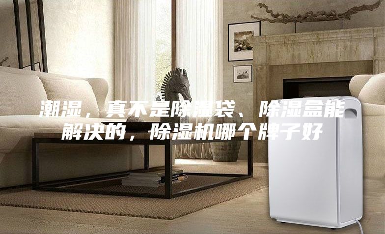 潮濕，真不是除濕袋、除濕盒能解決的，除濕機(jī)哪個牌子好