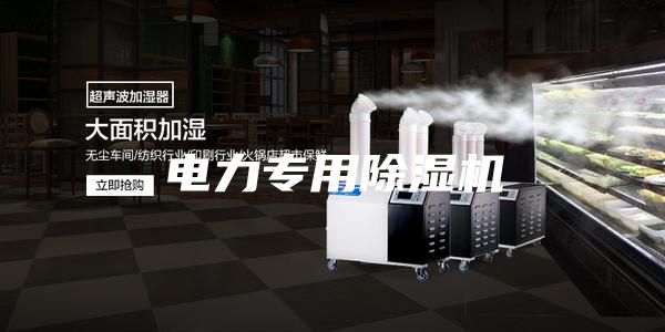 電力專(zhuān)用除濕機(jī)