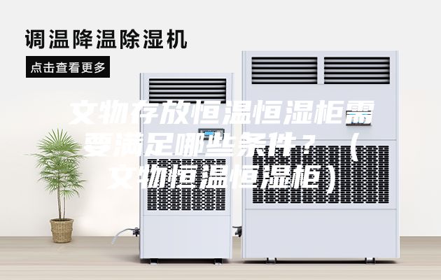 文物存放恒溫恒濕柜需要滿足哪些條件?(文物恒溫恒濕柜)