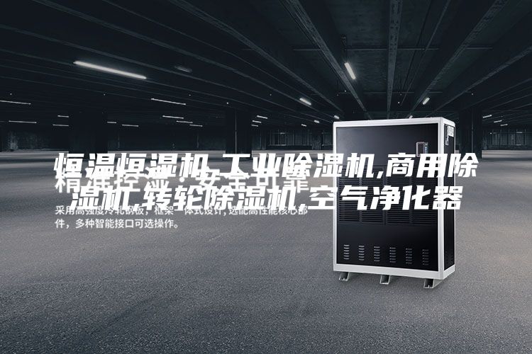 恒溫恒濕機,工業除濕機,商用除濕機,轉輪除濕機,空氣凈化器