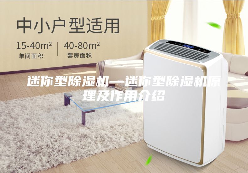 迷你型除濕機(jī)—迷你型除濕機(jī)原理及作用介紹