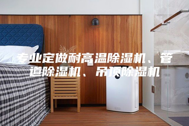 專業(yè)定做耐高溫除濕機(jī)、管道除濕機(jī)、吊頂除濕機(jī)