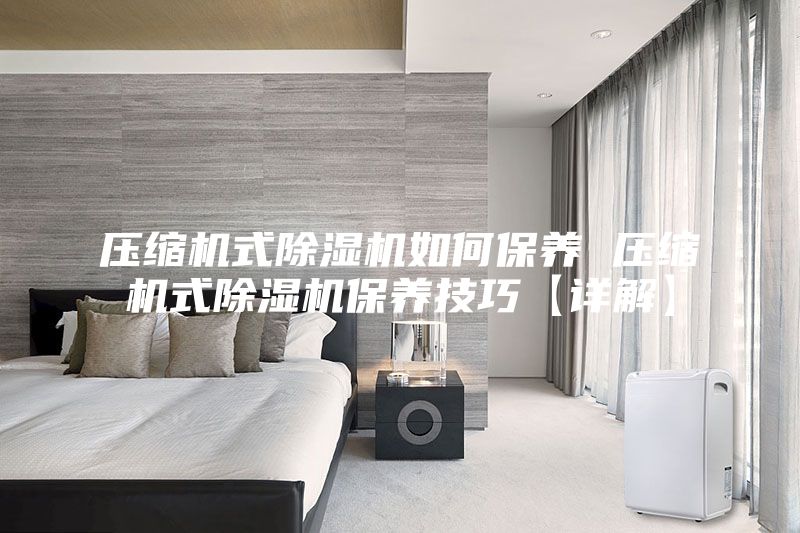 壓縮機(jī)式除濕機(jī)如何保養(yǎng) 壓縮機(jī)式除濕機(jī)保養(yǎng)技巧【詳解】