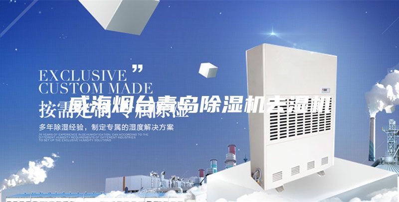 威海煙臺(tái)青島除濕機(jī)去濕機(jī)
