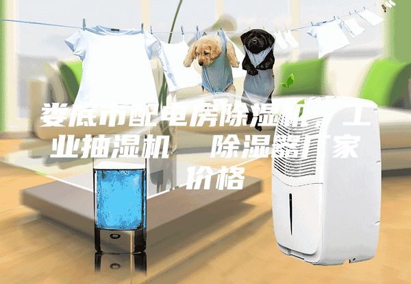 婁底市配電房除濕機(jī)，工業(yè)抽濕機(jī)  除濕器廠家 價(jià)格