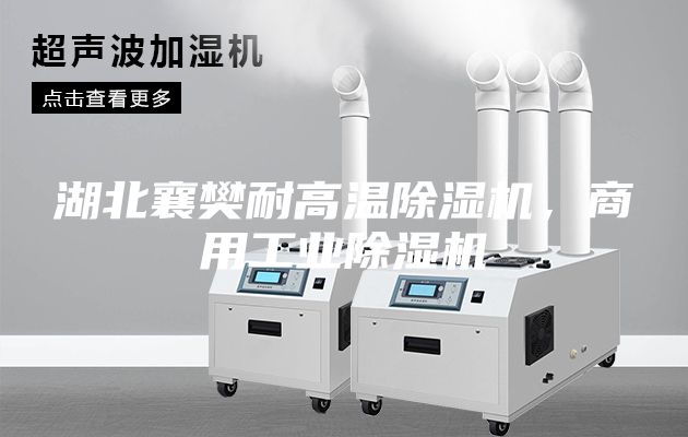湖北襄樊耐高溫除濕機(jī)，商用工業(yè)除濕機(jī)