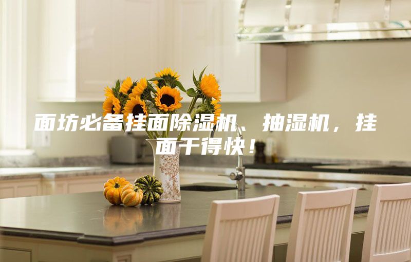 面坊必備掛面除濕機、抽濕機，掛面干得快！