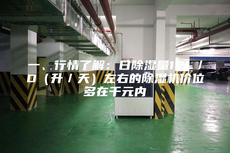 一、行情了解:日除濕量12L/D(升/天)左右的除濕機價位多在千元內