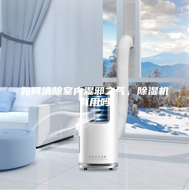 如何清除室內(nèi)濕邪之氣,除濕機(jī)有用嗎