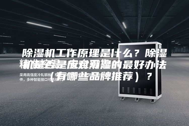 除濕機工作原理是什么？除濕機是否是應(yīng)對潮濕的最好辦法（有哪些品牌推薦）？