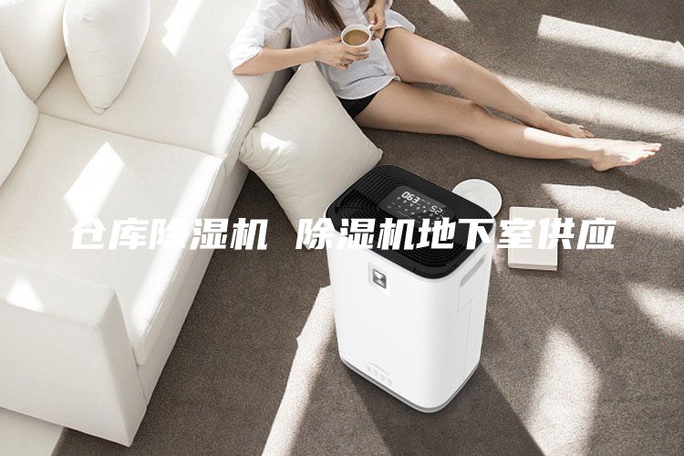 倉(cāng)庫(kù)除濕機(jī) 除濕機(jī)地下室供應(yīng)