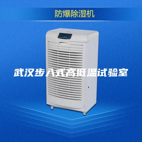 武漢步入式高低溫試驗(yàn)室