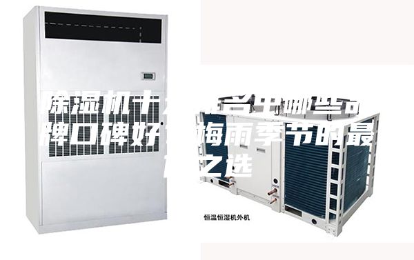 除濕機十大排名中哪些品牌口碑好？梅雨季節(jié)的最佳之選
