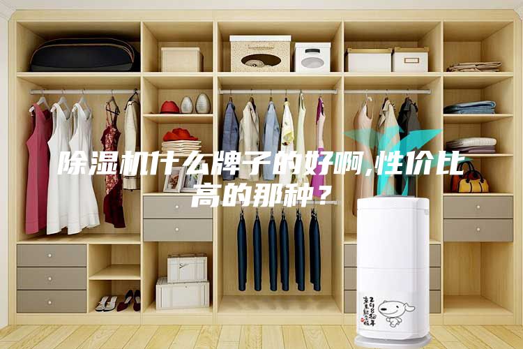 除濕機(jī)什么牌子的好啊,性價(jià)比高的那種?