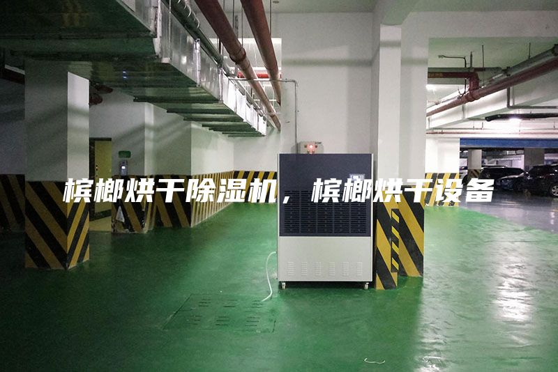 檳榔烘干除濕機,檳榔烘干設(shè)備