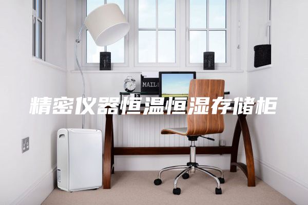 精密儀器恒溫恒濕存儲柜