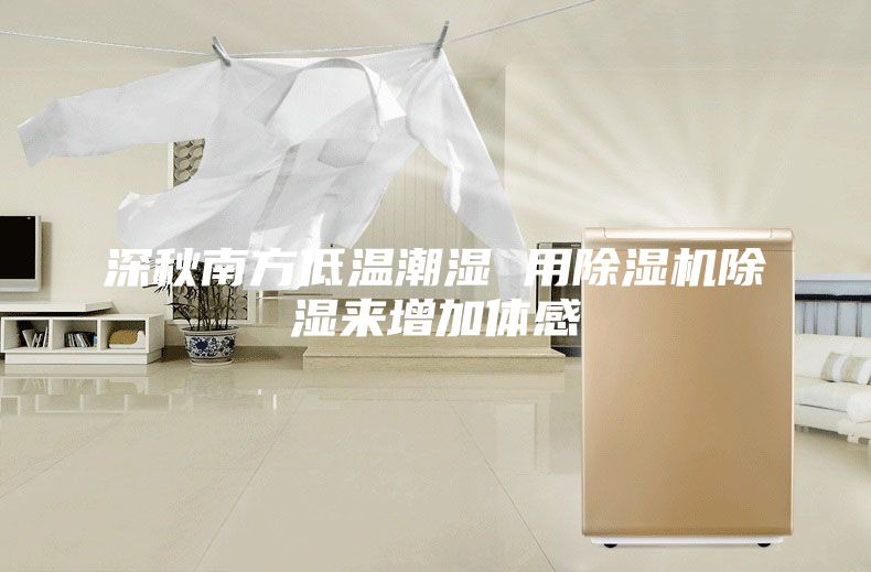 深秋南方低溫潮濕 用除濕機(jī)除濕來增加體感