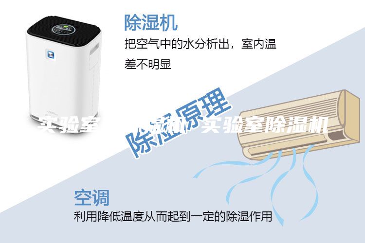實驗室用除濕機(jī) 實驗室除濕機(jī)
