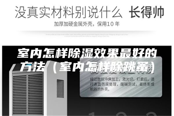 室內怎樣除濕效果最好的方法（室內怎樣除跳蚤）