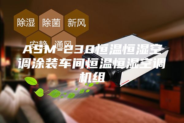 ASM-230恒溫恒濕空調(diào)涂裝車間恒溫恒濕空調(diào)機(jī)組