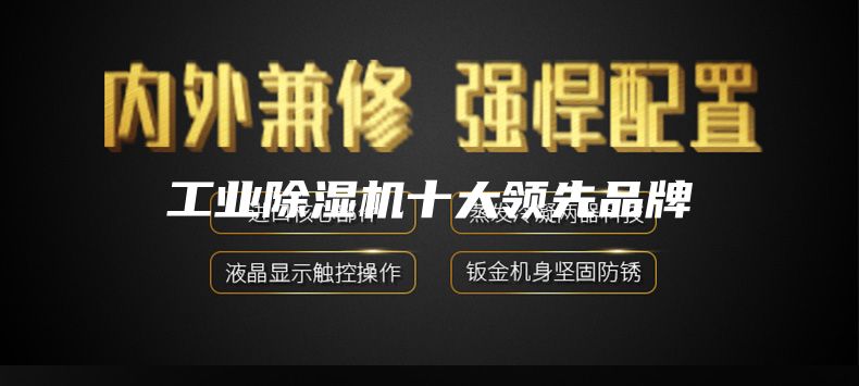 工業(yè)除濕機十大領(lǐng)先品牌