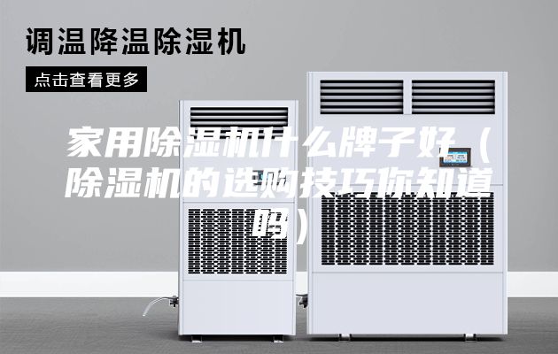 家用除濕機什么牌子好(除濕機的選購技巧你知道嗎)