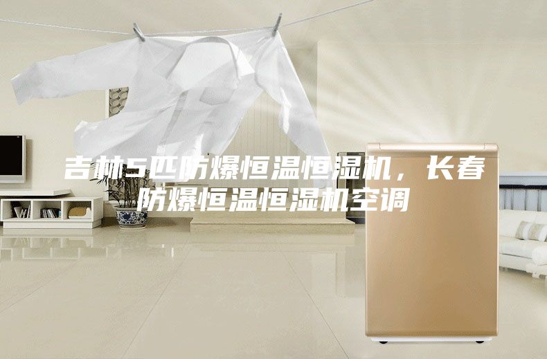 吉林5匹防爆恒溫恒濕機，長春防爆恒溫恒濕機空調