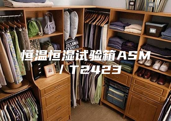 恒溫恒濕試驗(yàn)箱ASM／T2423