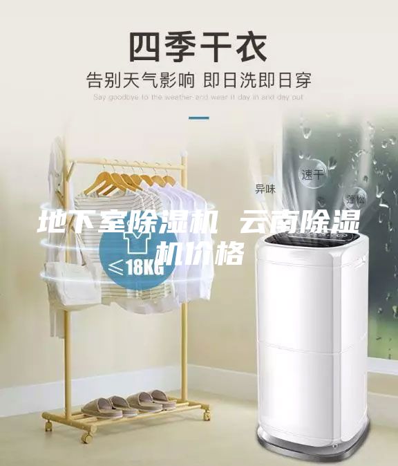 地下室除濕機(jī) 云南除濕機(jī)價格