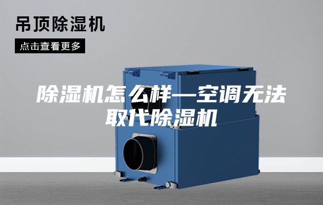 除濕機(jī)怎么樣—空調(diào)無(wú)法取代除濕機(jī)