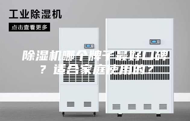 除濕機哪個牌子最好口碑?適合家庭使用的?