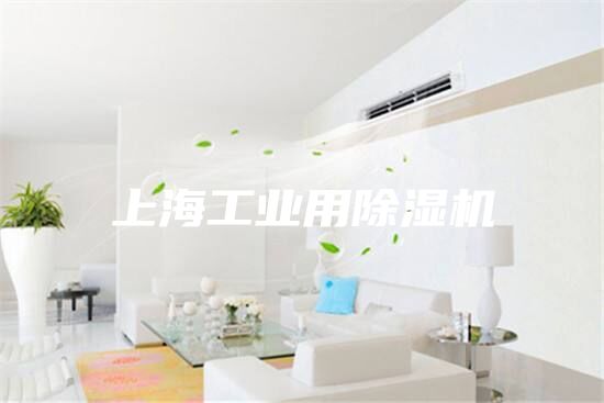 上海工業(yè)用除濕機(jī)