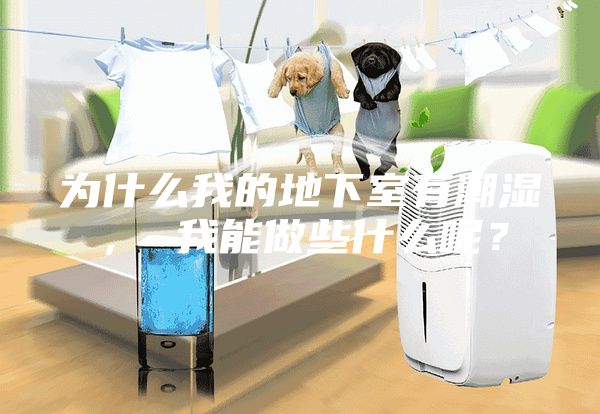 為什么我的地下室有潮濕, 我能做些什么呢?