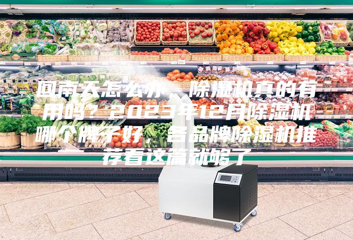 回南天怎么辦，除濕機(jī)真的有用嗎？2023年12月除濕機(jī)哪個(gè)牌子好，各品牌除濕機(jī)推薦看這篇就夠了