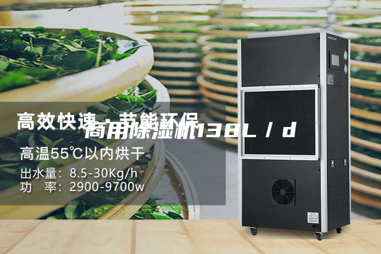 商用除濕機138L／d