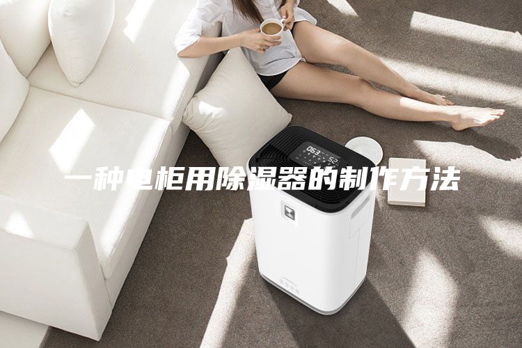 一種電柜用除濕器的制作方法